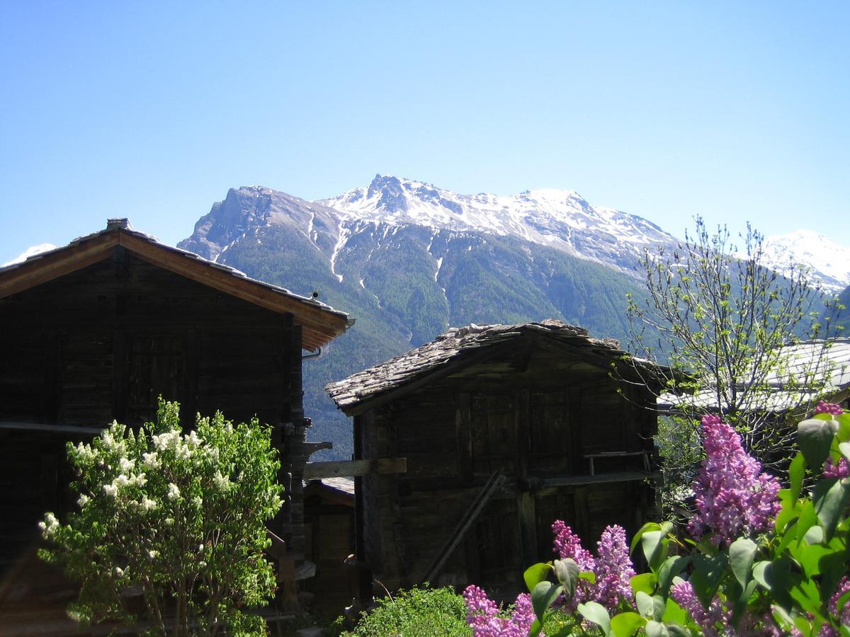 Appartamento Bergquell Haus D Blatten bei Naters Esterno foto