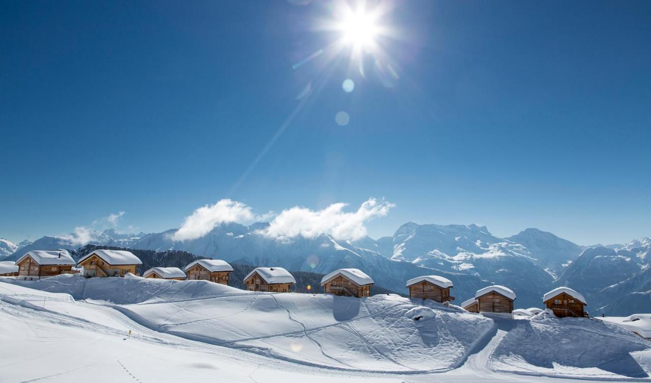 Appartamento Bergquell Haus D Blatten bei Naters Esterno foto