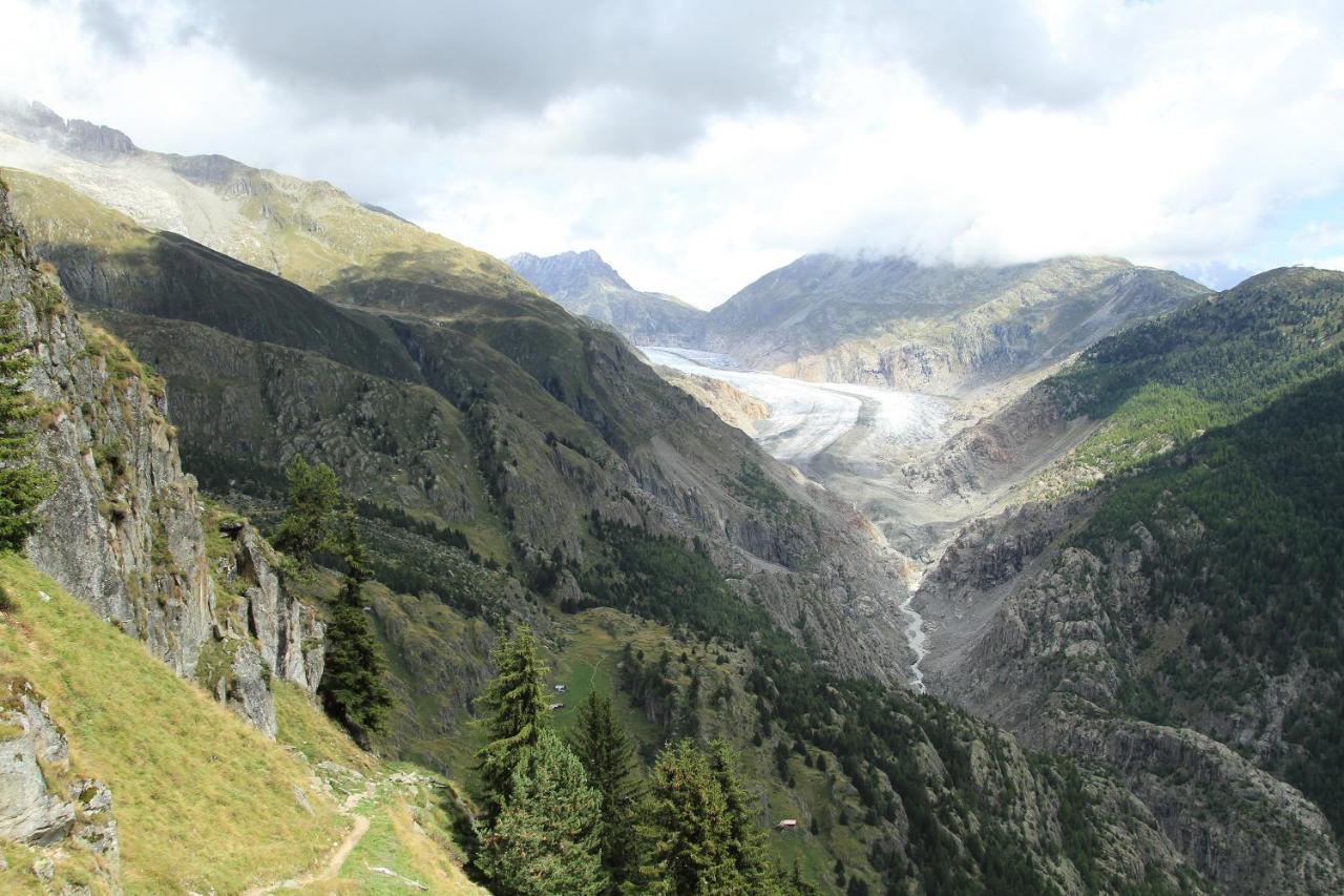 Appartamento Bergquell Haus D Blatten bei Naters Esterno foto